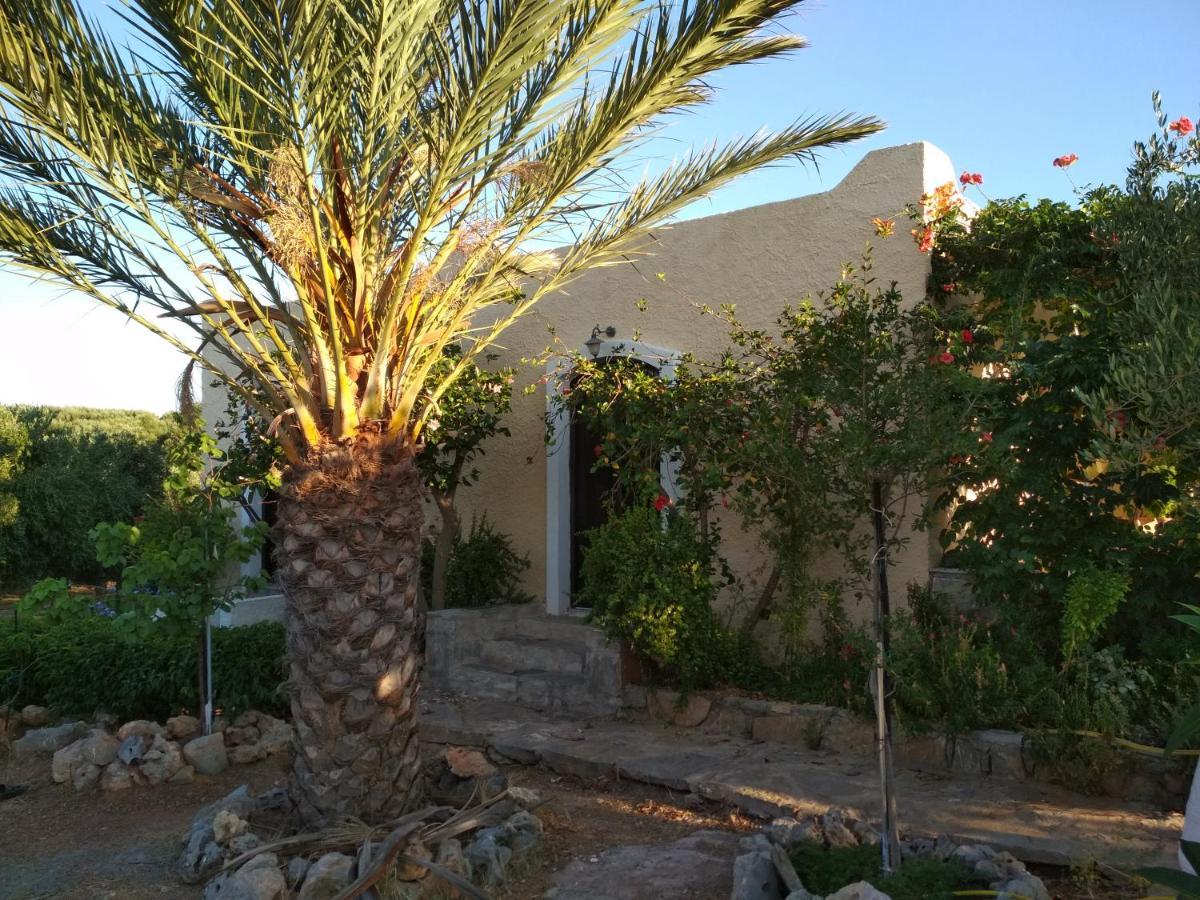 Porto Heli Apartments Palekastro Exteriör bild