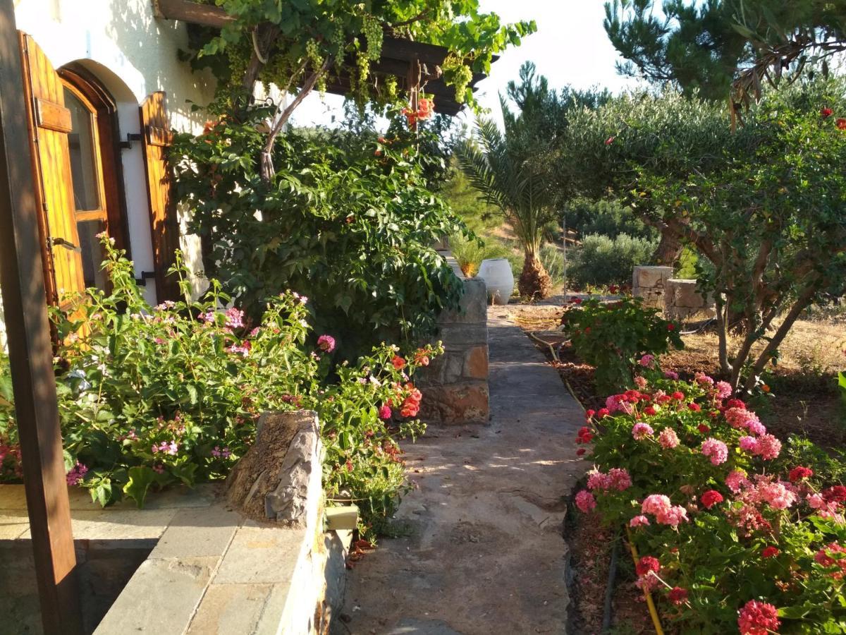 Porto Heli Apartments Palekastro Exteriör bild