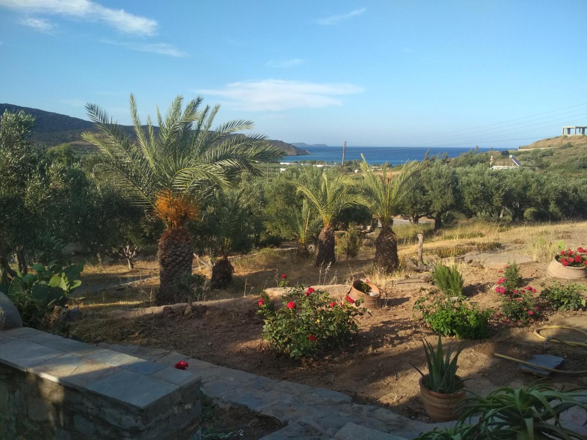 Porto Heli Apartments Palekastro Exteriör bild