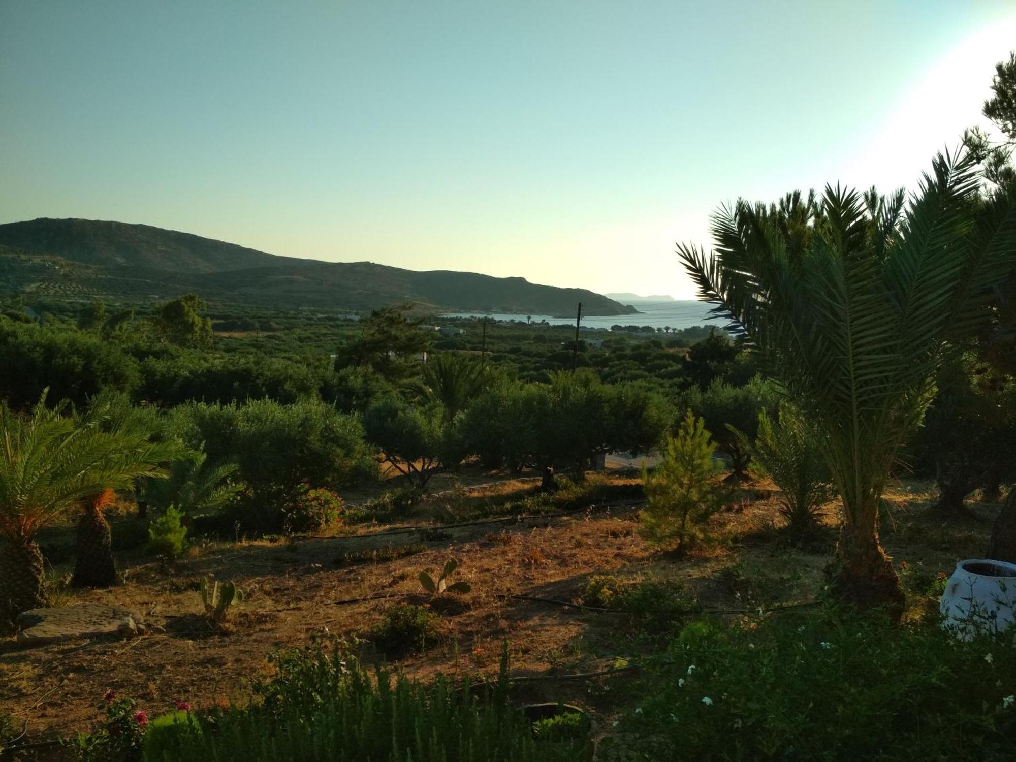 Porto Heli Apartments Palekastro Exteriör bild