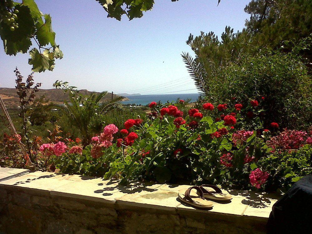 Porto Heli Apartments Palekastro Exteriör bild