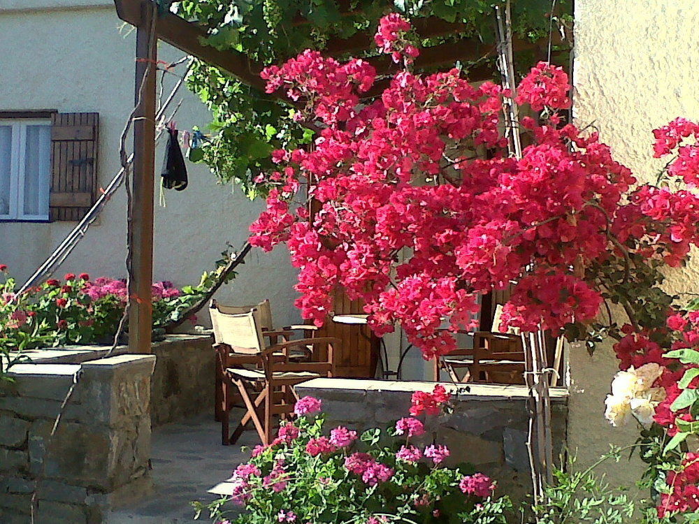 Porto Heli Apartments Palekastro Exteriör bild