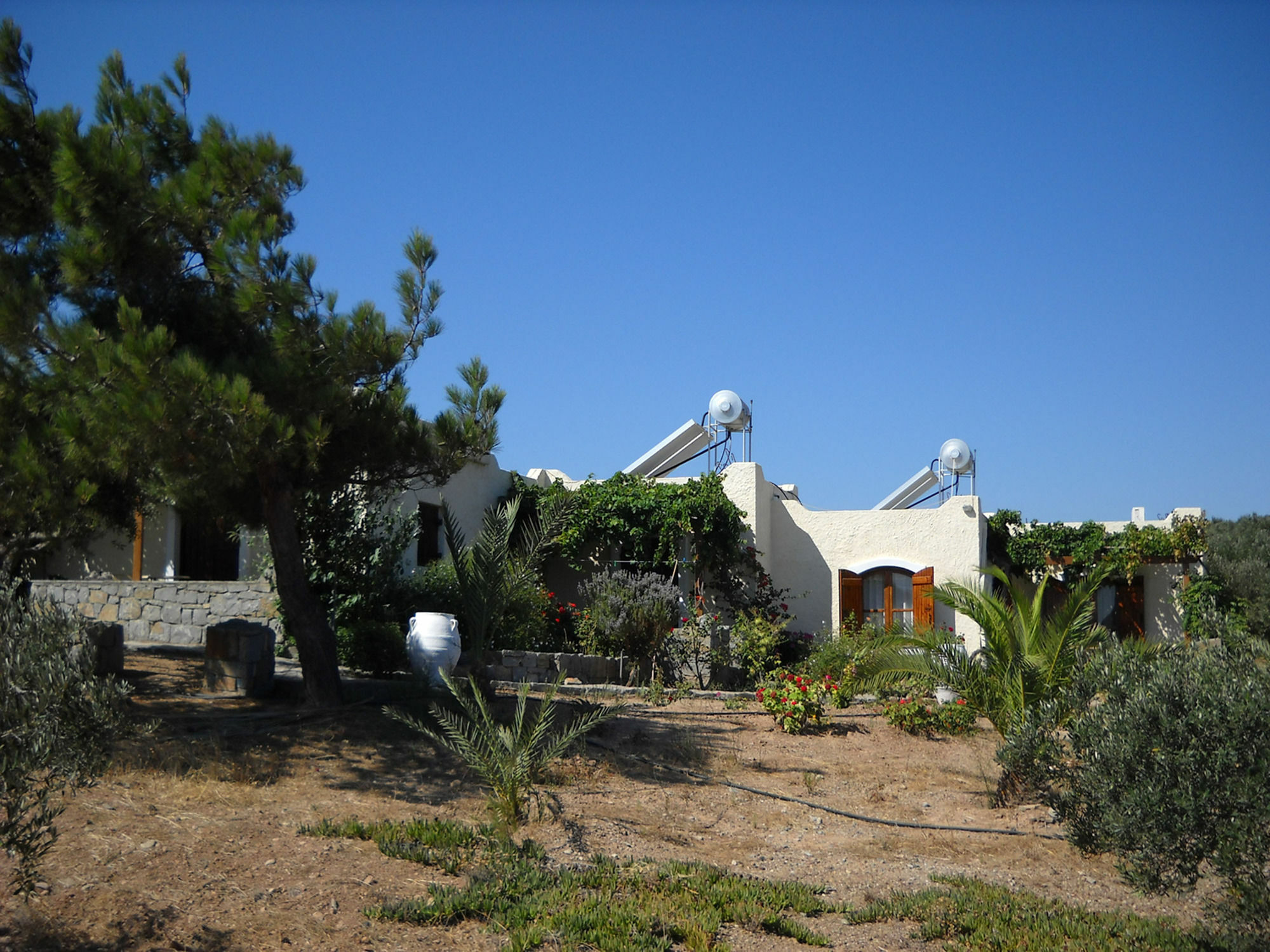 Porto Heli Apartments Palekastro Exteriör bild